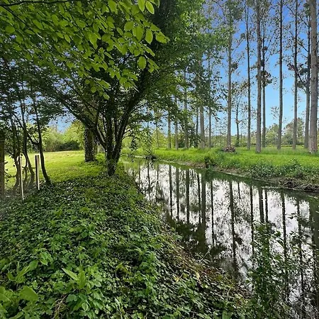 Chalet Le Chalet Du Marais - Nature En Baie De Somme *